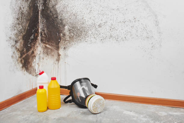 Best Office Mold Removal Services  in Southern Pines, NC