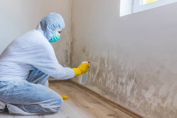 Best Mold Removal Process  in Southern Pines, NC