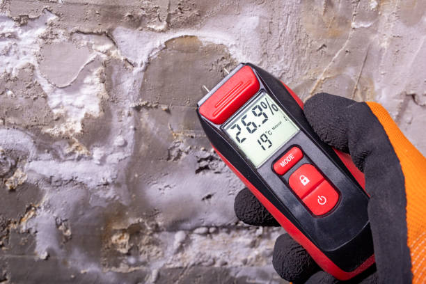 Best Mold Testing  in Southern Pines, NC