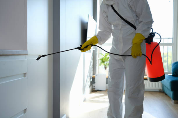 Best Local Mold Removal Service  in Southern Pines, NC