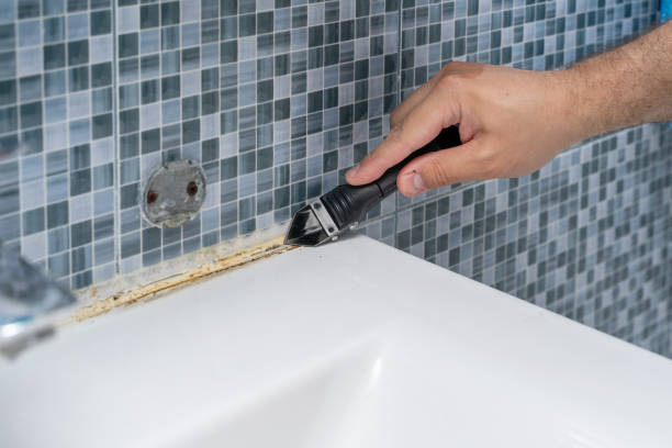 Best Mold Remediation Services  in Southern Pines, NC
