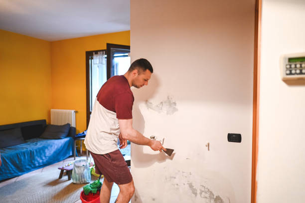 Best Commercial Mold Removal  in Southern Pines, NC