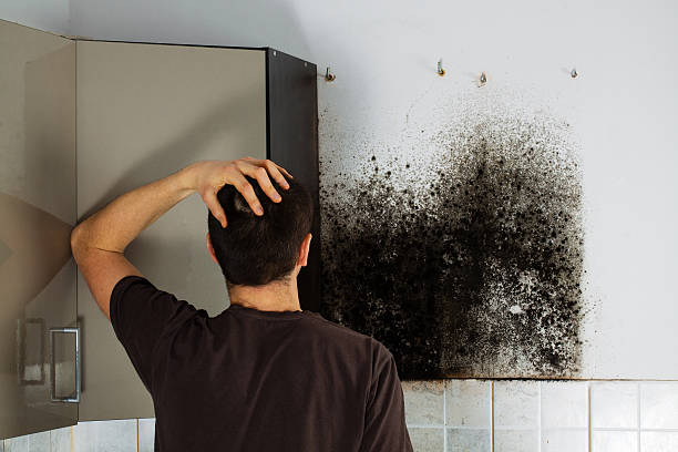 Best Mold Testing  in Southern Pines, NC